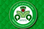 کمک ۱۰ میلیاردی وزارت ورزش به فدراسیون فوتبال