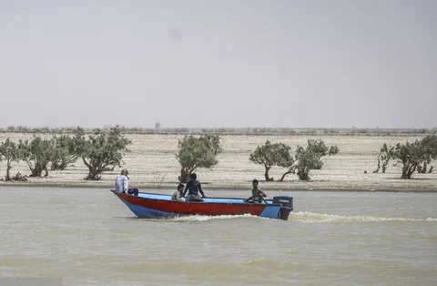 تصاویر| حالِ خوبِ «هامون»