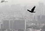 در بازار مسکن، همه زیان می‌کنند جز بانک‌ها و دلالان