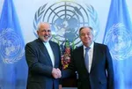 دیدار ظریف با چند عضو کنگره آمریکا