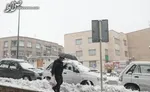 شاعر بلندآوازه انقلاب و دفاع مقدس درگذشت