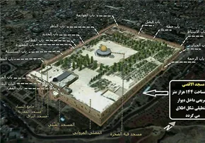 اینفوگرافی/ چند روش ساده برای درمان سریع سرماخوردگی