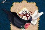 «زانکو» آغازگر کنسرت‌های موسیقی