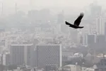 مرگ دو کرمانشاهی بر اثر شیوع آنفلوآنزا