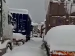 مقدسی رئیس کل گمرک ایران شد