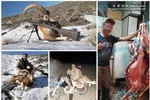 پروژه سد سازی ترکیه همراه با نابودی شمال غرب ایران!
