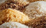خبر خوش سازمان هدفمندی یارانه‌ها برای کادر درمان