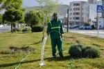 دستور دادستان تهران برای پیگیری قطعی‌های مکرر برق