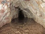 افزایش ۲ برابری صادرات محصولات کشاورزی/ ازسرگیری صادرات کیوی به هند از هفته آتی