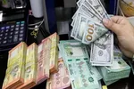 قیمت ارز امروز چهارشنبه ۱۷ تیر ۱۴۰۵ | بازار ارز صعودی شد
