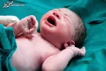 تعداد خانه‌های لاکچری در تهران چقدر است؟