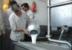 لبنیات گران‌تر می‌شود؟