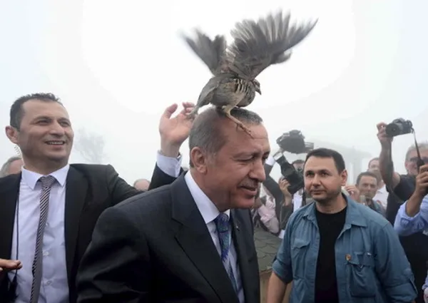  فرود بر سر اردوغان رئیس جمهور ترکیه 