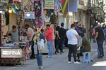 ضربات سنگین ببر نر باعث شکستن قفس فلزی و مرگ 
