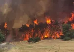 اسلام مشخص و معین کرده است که چنانچه میان حقوق فرد و جامعه تعارض ایجاد شد باید به چه نحوی عمل کرد | کسی که وقعی برای قانون قائل نیست، باید مجازات شود