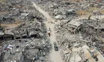 نخست‌ وزیر استرالیا با مکرون همراه نشد