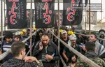 تصاویر | حضور لاریجانی در مسیر اربعین