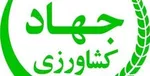 کارتن خواب‌ها نیز واردکننده شدند! / رشد عجیب واردات برخی کالاها