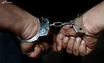 قاتلان دکتر محفوظی دستگیر شدند+ جزییات