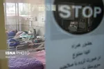 ۱۲ گروه ایرانی برای ساخت واکسن کرونا تلاش می‌کنند