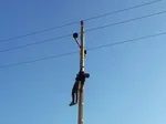عملکرد پلیس مترو در پاییز ۹۸/ دستگیری ۱۰۵ سارق جیب بر