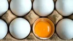 توصیه‌هایی برای کاهش وزن بیشتر پس از ورزش