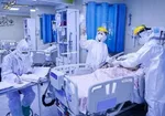 شناسایی ۸۱ بیمار جدید کووید۱۹