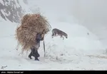 بارش شدید برف و باران در ۱۲ استان کشور