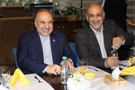 محمدحسن انصاری‌فرد مدیرعامل پرسپولیس شد