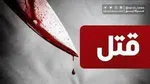 تعداد سگ‌های ولگرد از تعادل خارج شده است