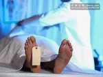 پرونده قتل داریوش مهرجویی و همسرش بسته شد