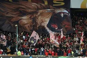 تصاویر / لیگ برتر فوتبال- پرسپولیس و ملوان