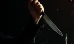 پیک تحویل کالا به دختر ۱۴ ساله و زن جوان تعرض کرد