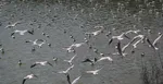 شناسایی ۳۰۰ هزار حلقه چاه غیرمجاز در کشور
