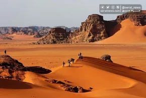 تصاویر / فصل لاله‌ها در باغ ایرانی