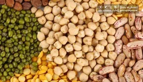 فیلم| سه‌شنبه اول رمضان است