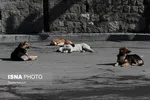 ۸ دلیل احساس خواب آلودگی پس از وعده‌های غذایی