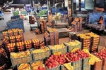 هشدار خالی شدن انبار‌های پیاز کشور