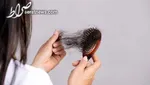 ۷ ماده غذایی برای پرپشت کردن مو‌ها بعد از ۳۰ سالگی