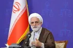 محسنی اژه‌ای: در جنگ ۱۲روزه ۲۰۰۰ نفر دستگیر شدند