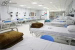 شرط بخشش دانشجویان درگیر در حوادث اخیر