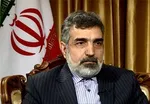 کمالوندی: به پادمان متعهدیم نه پروتکل الحاقی