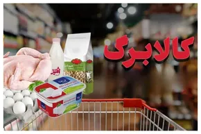 فیلم| ماجرای قطع کالابرگ خانوارهای ساکن خارج از کشور از زبان وزیر کار
