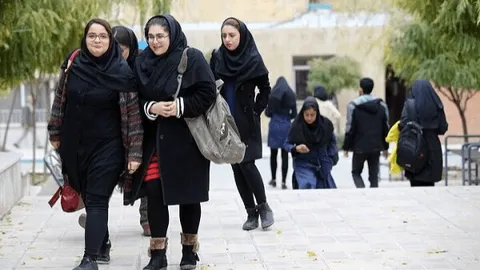 هدیه ویژه دانشگاه تربیت مدرس برای دانشجویان دکتری