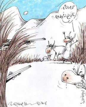 عکس/گوزن ها در پارک طبیعی