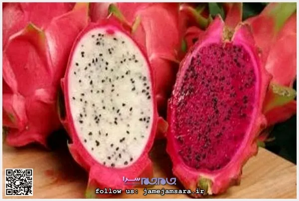 Dragon Fruit میوه اژد‌ها
زادگاه این میوه مکزیک و مرکز و جنوب آمریکاست و به خاطر شکل و رنگش به این نام از آن یاد می‌شود. این میوه دارای سه رنگ سفید و صورتی و قرمز، و طعم آن شبیه گلابی است. با برگ‌های این درخت چای نیز تهیه می‌شود.