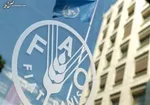 ۷ ماده غذایی مفید برای مردان