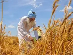 قیمت نان برای مردم به هیچ وجه تا پایان سال تغییر نمی‌کند