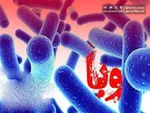 دستگیری یک عضو شورای شهر در سقز