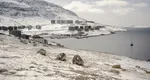 ماجرای پناهندگی مهسا قربانی در اسکاتلند؛ جزییات ۴۰ روز بازداشت داور ایرانی در کپنهاگ فاش شد